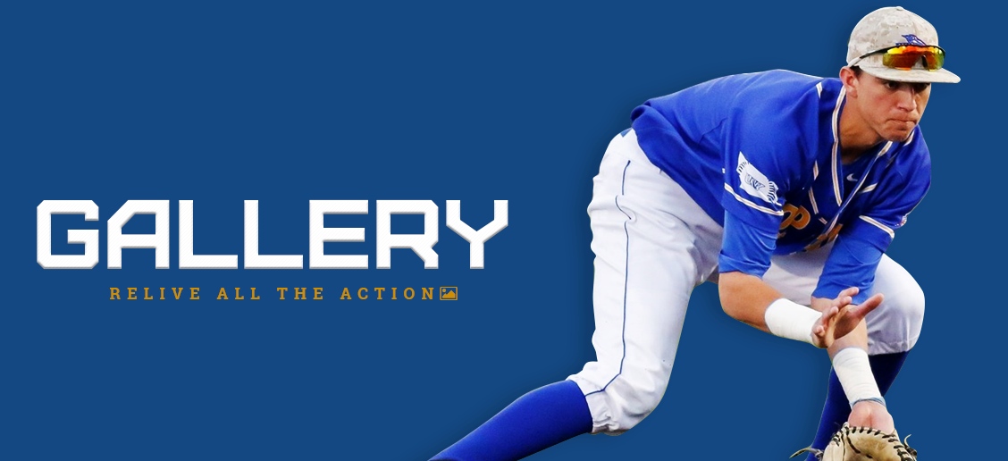 Photo Gallery - Photograph (1128x516), Png Download