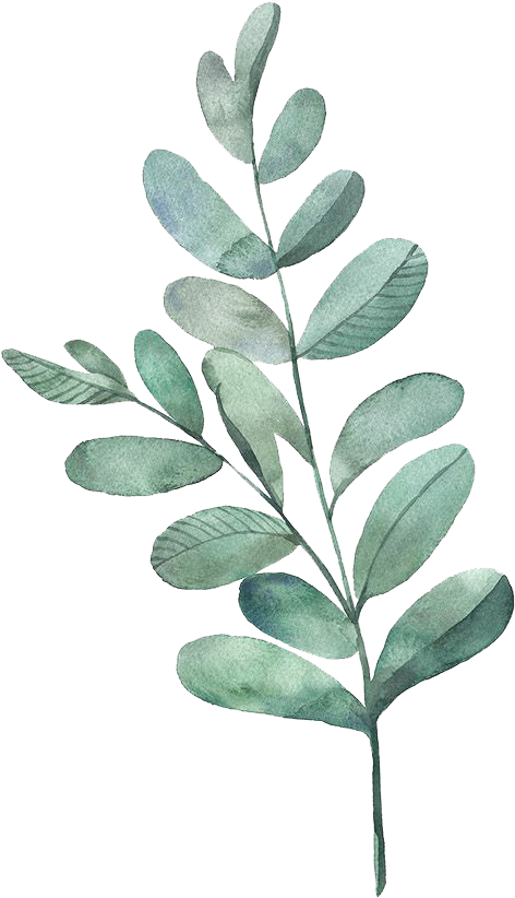 Tealdividerpngg - Watercolour Green Leaves Png (600x914), Png Download
