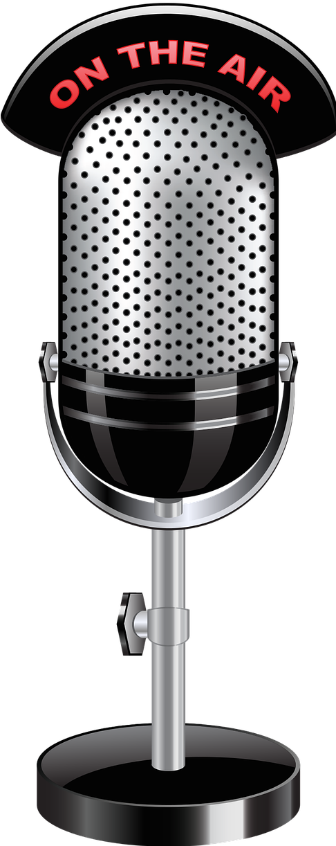 Transparent Microphone Png Clipart - Microphone Clip Art Transparent Background (255x600), Png Download