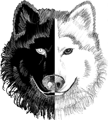 November 15 - Coloring Pages Of Realistic Dogs (375x418), Png Download