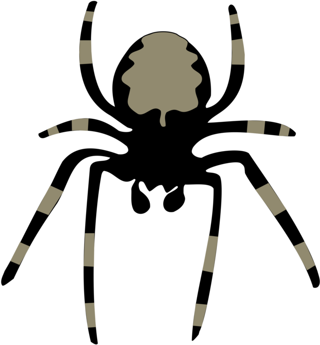 28 Collection Of Animated Spider Clipart - Spider Clipart (552x595), Png Download