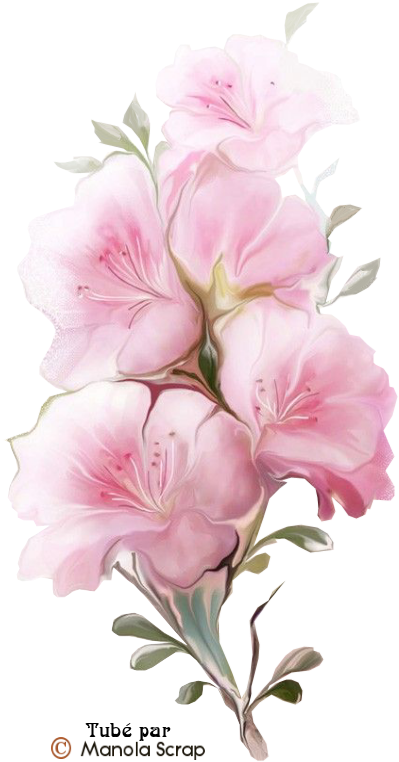 Tubes Fleurs Page - 2010 (416x772), Png Download