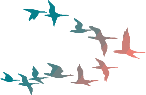 Flying Birds Png Png Library Download - Colorful Flying Birds Png (474x309), Png Download