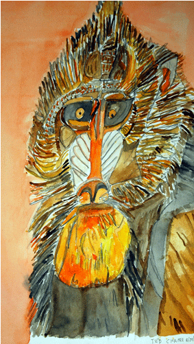 Watercolor Animal - Watercolor Painting (700x500), Png Download