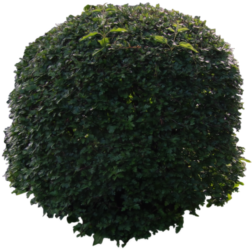 164 Images About 🌋png🌋 On We Heart It - Lace Wig (895x893), Png Download