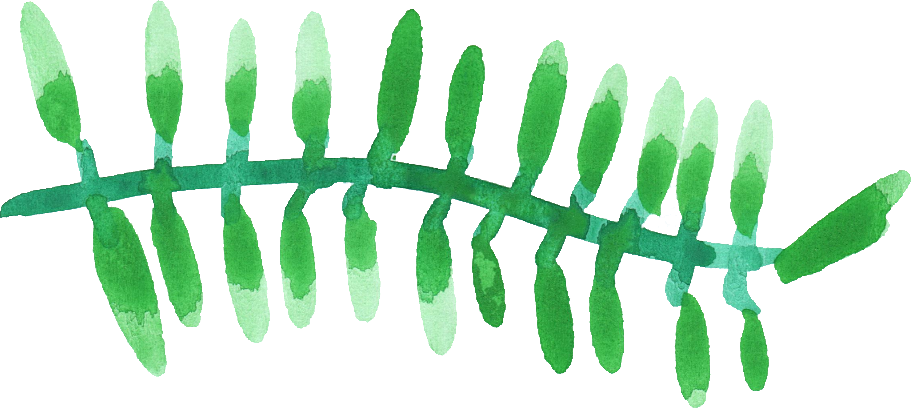 Free Download - Picket Fence (911x408), Png Download