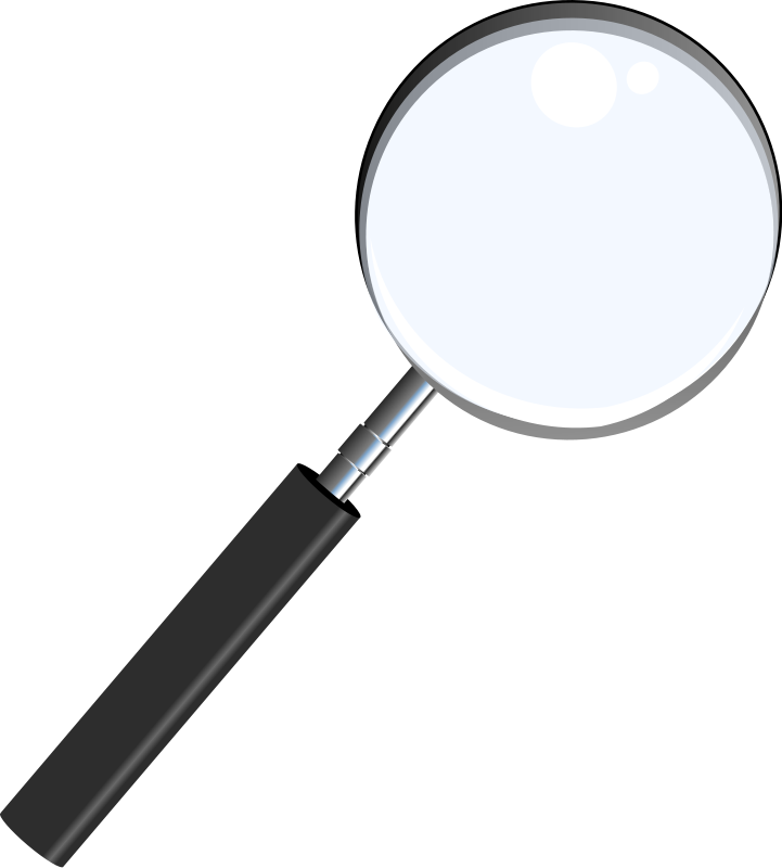 Magnifying Glass - Transparent Background Magnifying Glass (540x599), Png Download