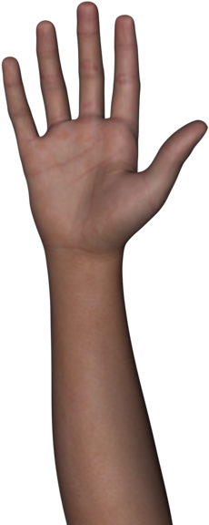 Free Stock Images Body Parts - Sign Language (600x580), Png Download