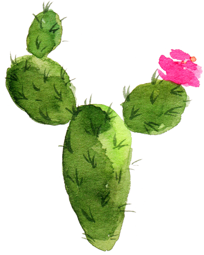 Cactus Watercolor Png - Western Flowers - White By Shopcabin - White (700x879), Png Download
