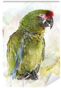 Set Of 2 Green Parrot Watercolor Ceramic Cabinet Drawer (400x400), Png Download