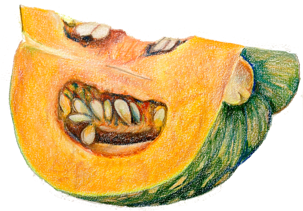 Pumpkindrawing - Pumpkin (1000x1000), Png Download