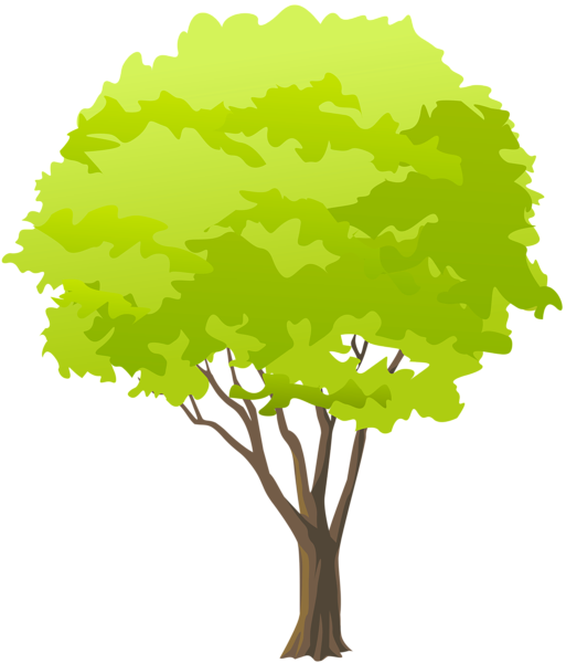 Green Tree Png Clip Art - Trees Png (513x600), Png Download