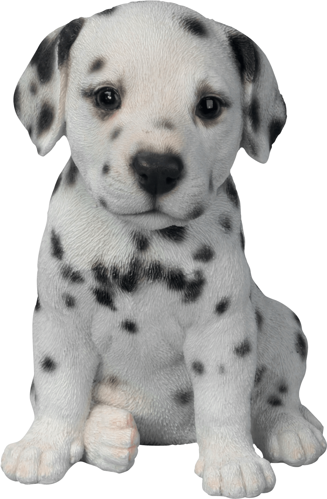 Dalmatian Puppy - Fully Automatic Assault Meme (1740x2169), Png Download