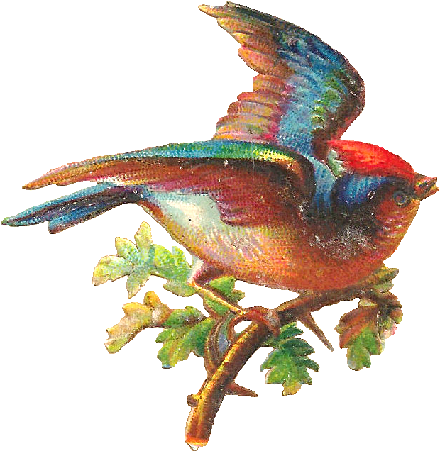 Free Digital Bird Graphic - Pretty Bird Png (905x855), Png Download