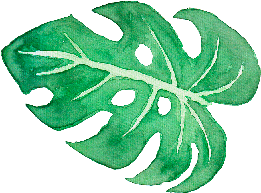 Tropical Leaves On Behance Graphic Library - Watercolor Tropical Leaves Png (1200x1200), Png Download