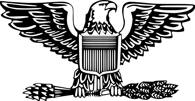 Snipers Clipart Eagle - Colonel Rank (650x337), Png Download