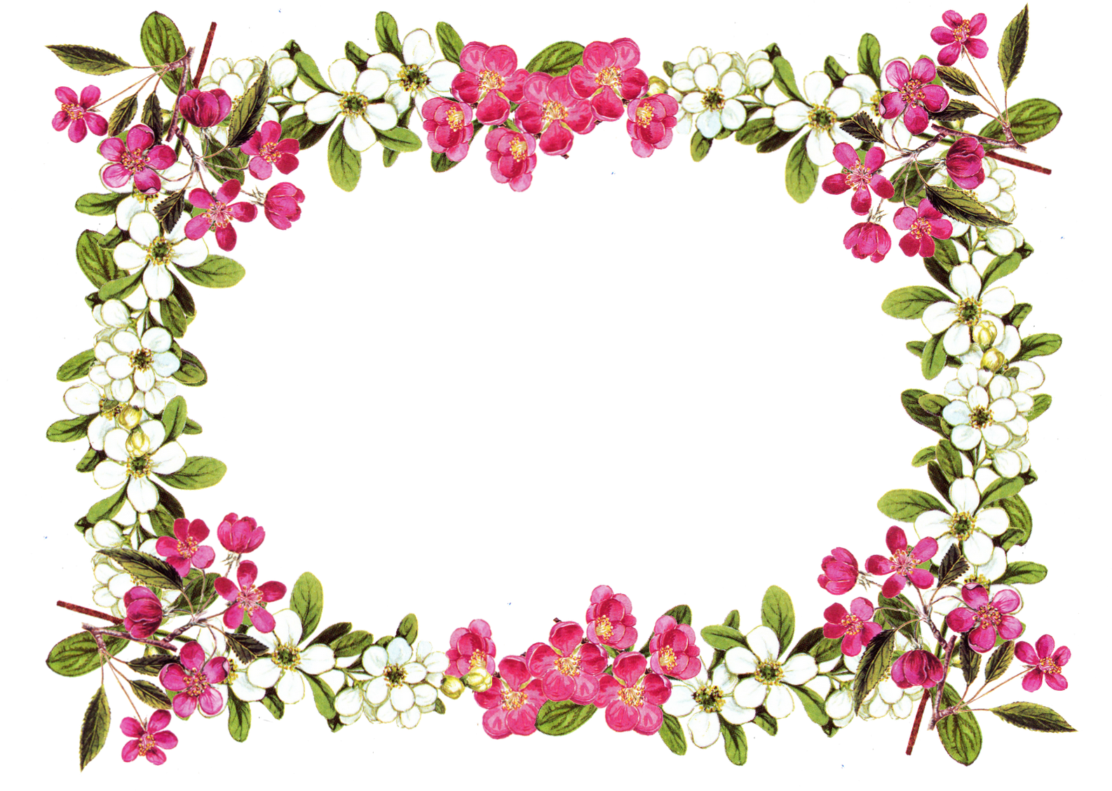 Free Printable Clip Art Borders Digital Flower - Flower Border Png (1600x1143), Png Download