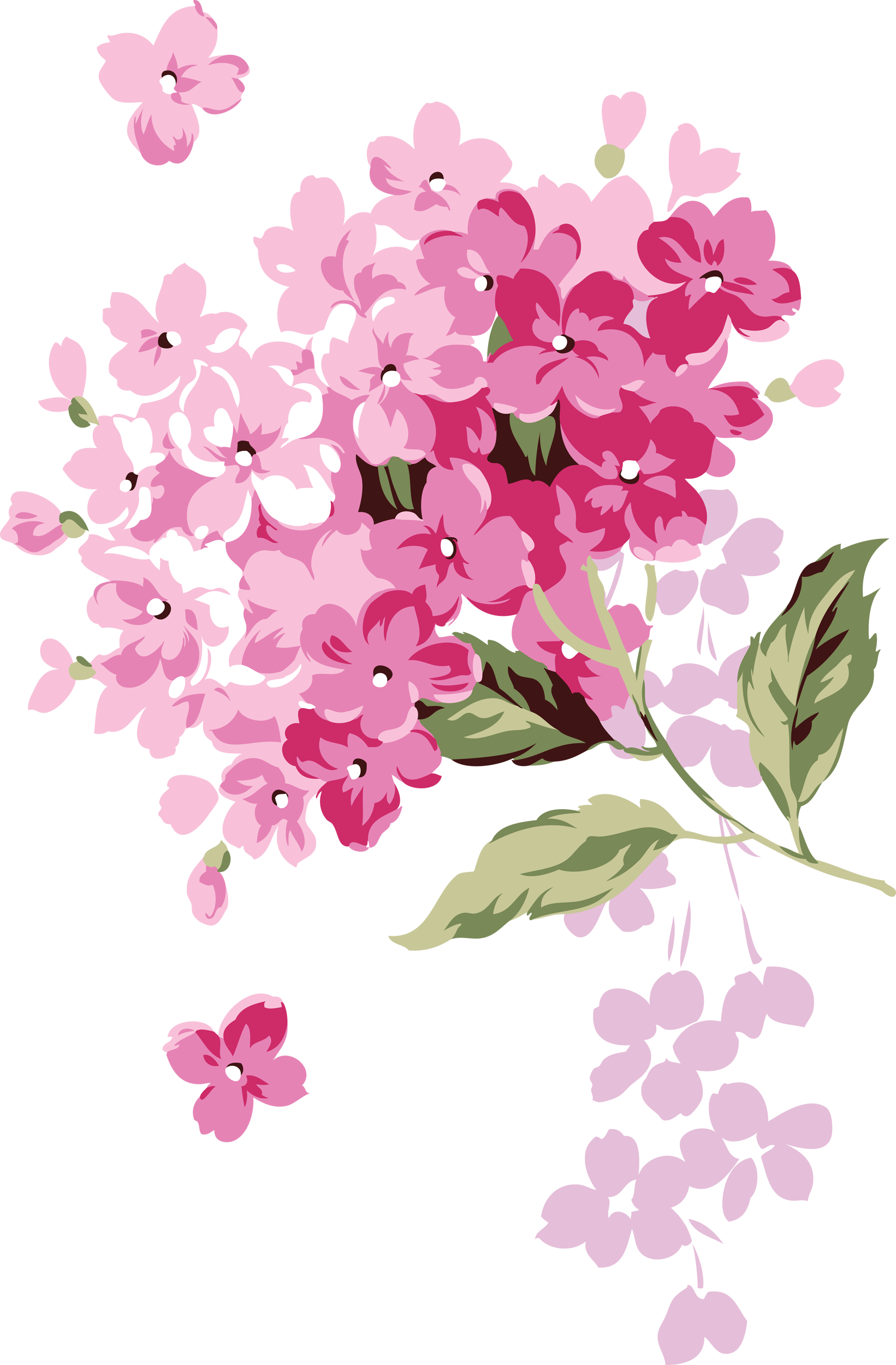 Flôres & Jardim E Etc - Hydrangea Png Transparent (1641x2500), Png Download