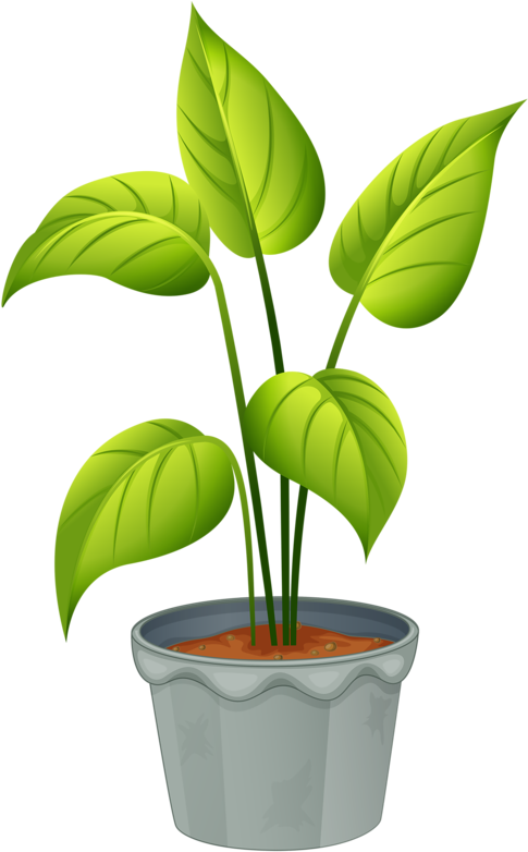 Green Home Plant - Plant Clipart (515x800), Png Download