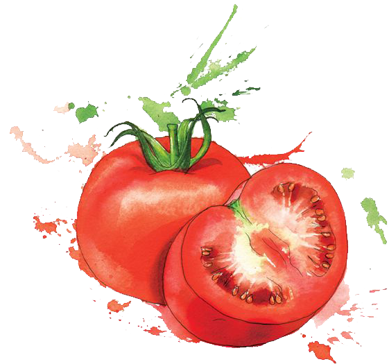 Watercolor Painting Food Art - Georgina Luck Artwork Fruit (564x535), Png Download