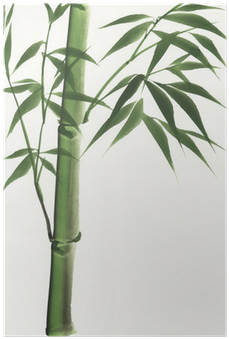 Bamboo Japanesed Art (400x400), Png Download