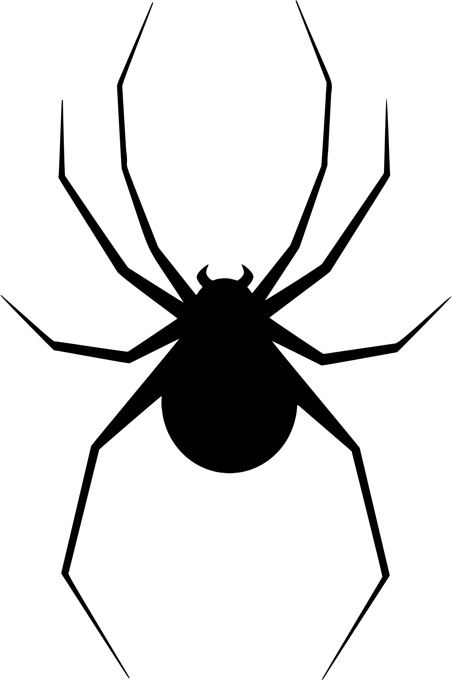 Download Black Spider Png Free Download Spider Silhouette PNG Image