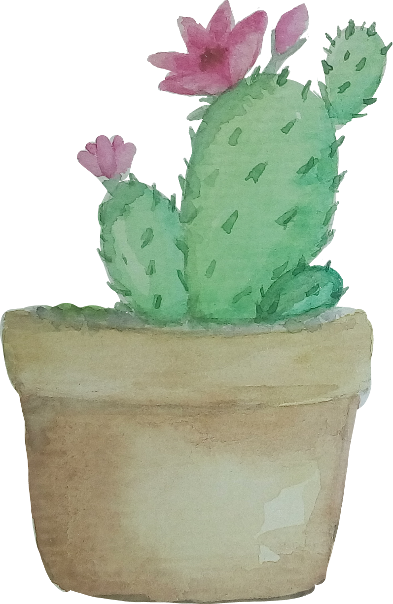 Cacto Aquarela Catarinazs Report - Cactus Watercolor Transparent (797x1224), Png Download