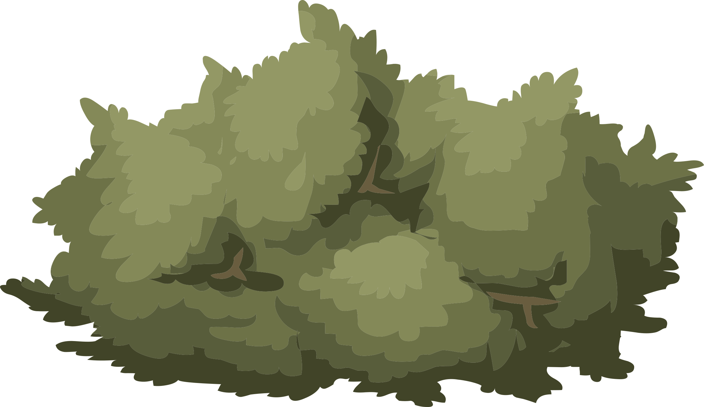 Mountain Transparent Bush - Bush Vector Png (2400x1389), Png Download