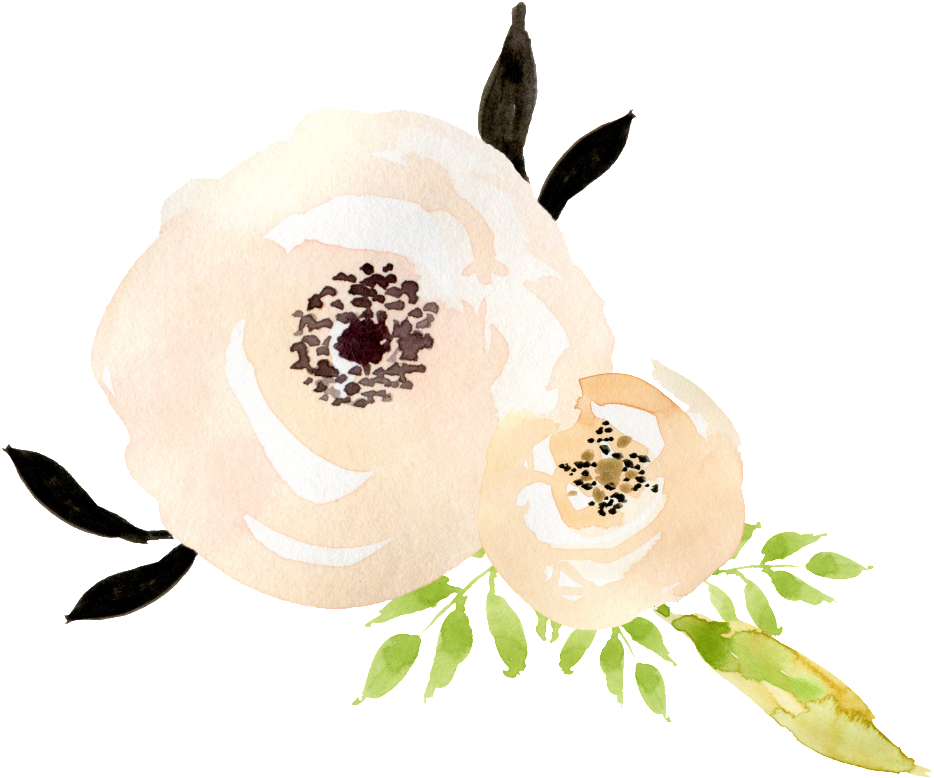 This Graphics Is Milk White Bouquet Transparent Decorative - Illustration (1024x923), Png Download