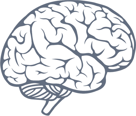 Null - Working Brain (466x400), Png Download