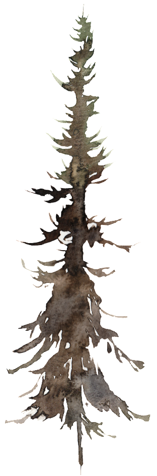 This Graphics Is Pine Ink Painting, Transparent, Watercolor - Watercolor Painting (1024x1024), Png Download