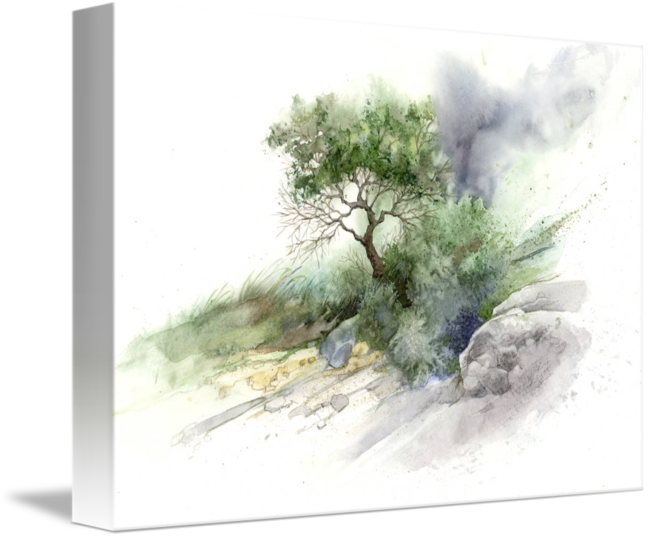 "brush And Stone Study" By Steve Mitchell - Mind Of Watercolor Trees (650x538), Png Download