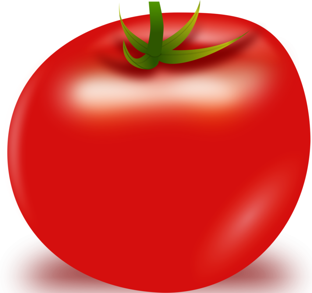Tomato Vector Png - Tomato (1024x960), Png Download