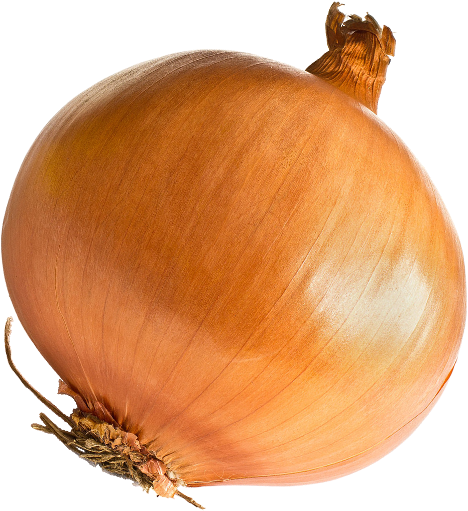 Onion - Onion Png (941x1022), Png Download