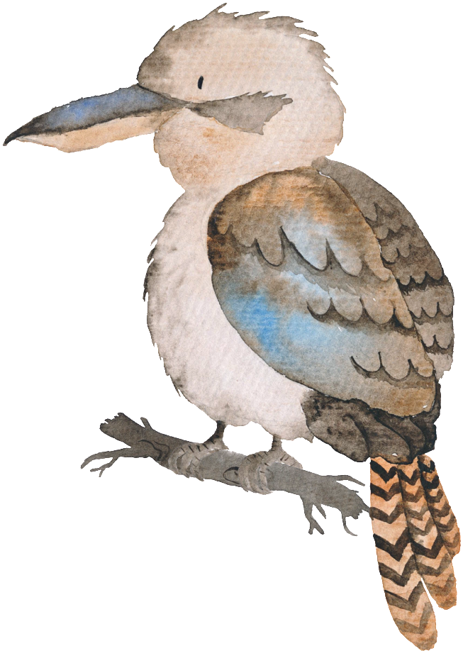 Hand-painted Colored Bird Transparent Animal Png - Free Australian Animal Cartoon (1024x1024), Png Download