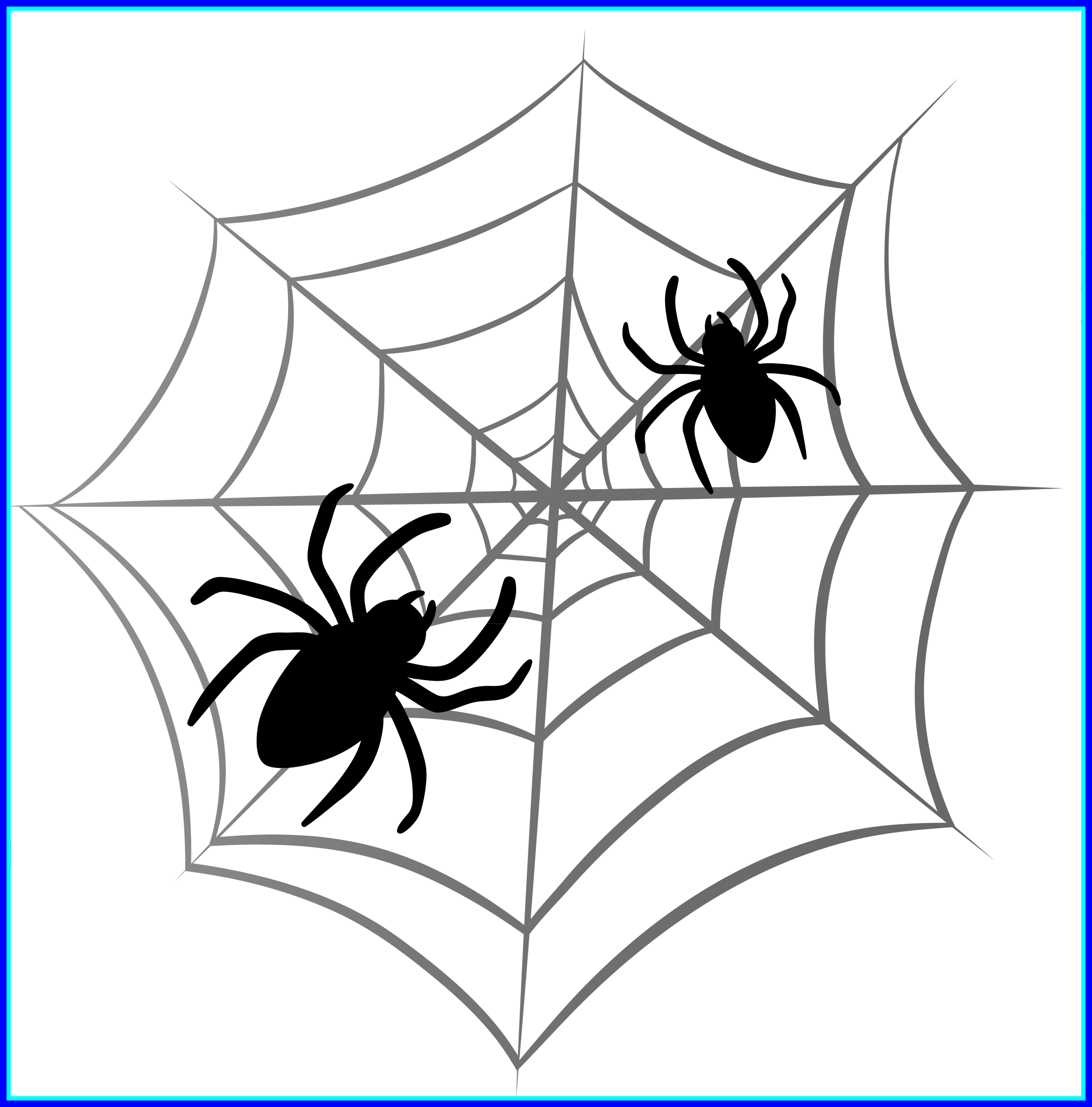 Incredible Spider Drawing References Pic For Orchid - Spider Web Sterling Silver Lapel Pin Gift Box (2550x2585), Png Download