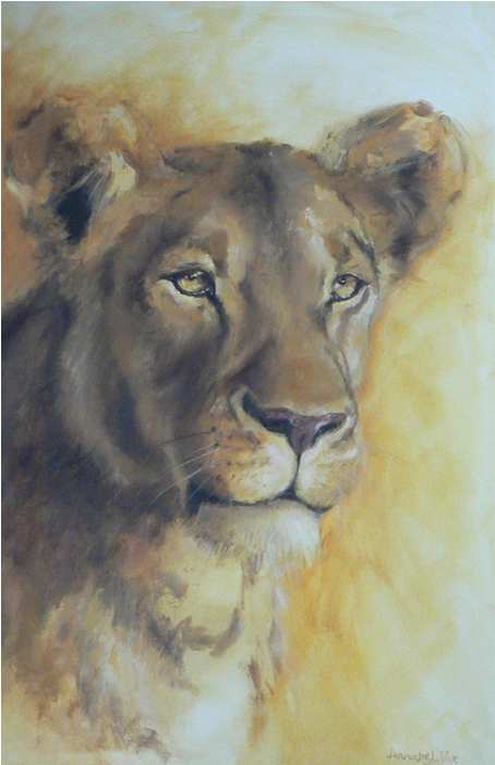 Lioness Portrait - Lion (700x700), Png Download