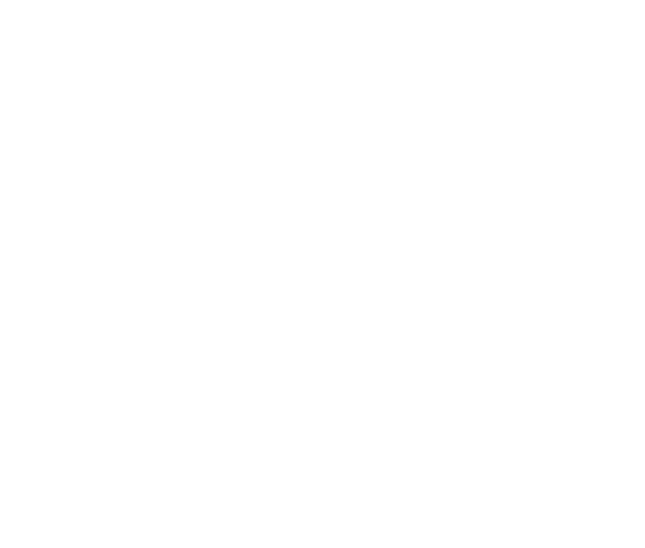 Twitter Bird White Png - French Flag 1815 (941x800), Png Download