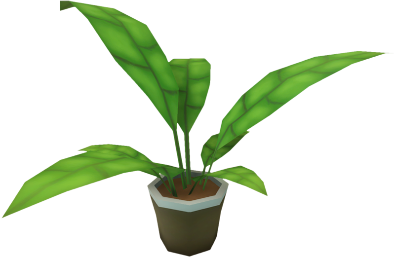 Furniture Ornamental Plant - Ornamental Plant Png Transparent (825x550), Png Download