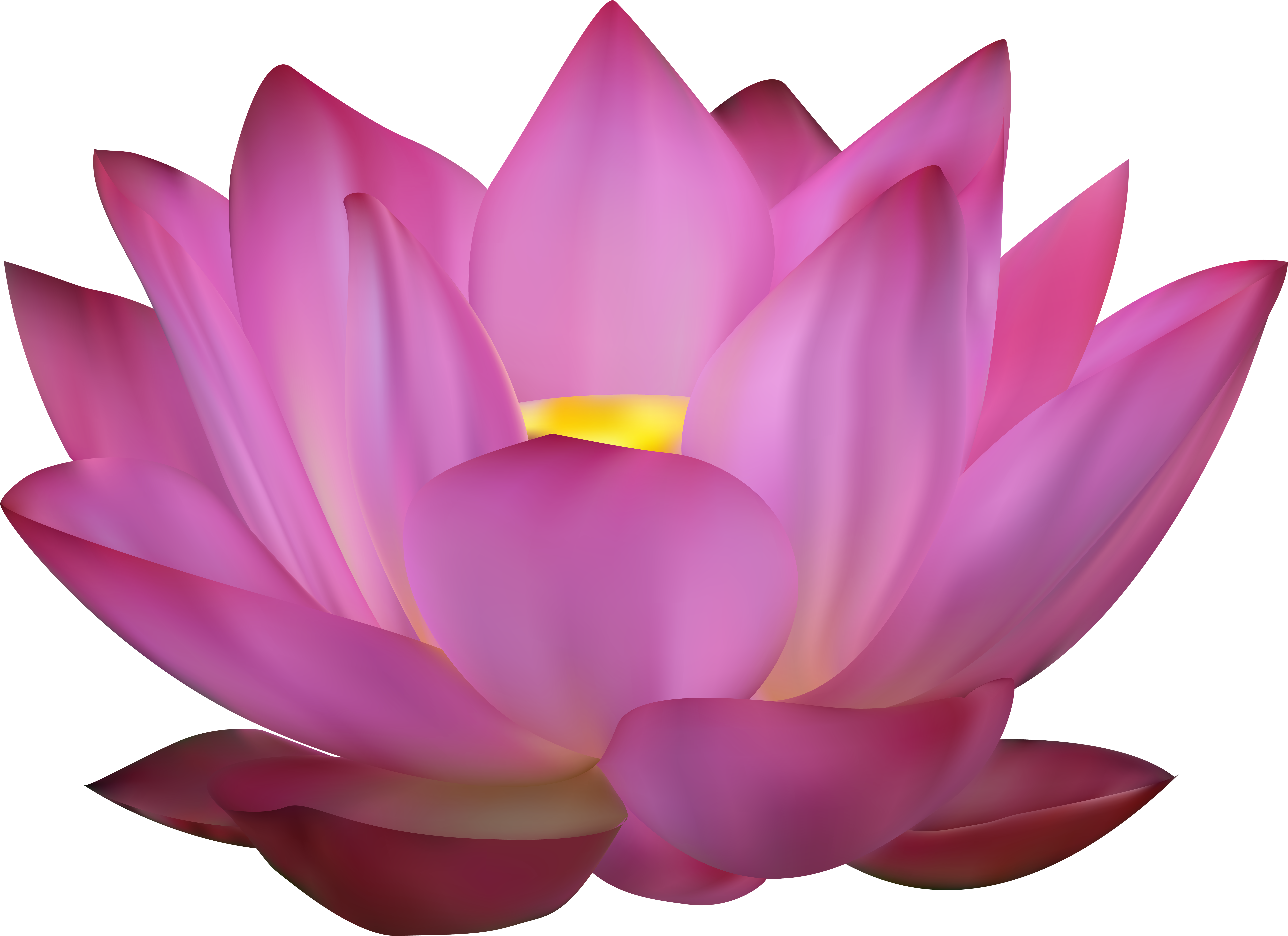 Lotus Png (8000x5813), Png Download