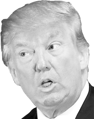 Donald Trump Png Clipart - Donald Trump Black And White Transparent (401x500), Png Download