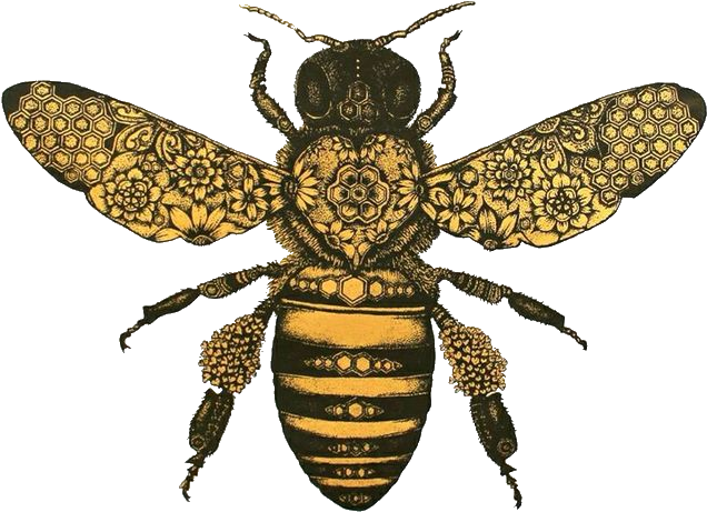 Hfk Bee - Hopeless Fountain Kingdom Bee (736x616), Png Download