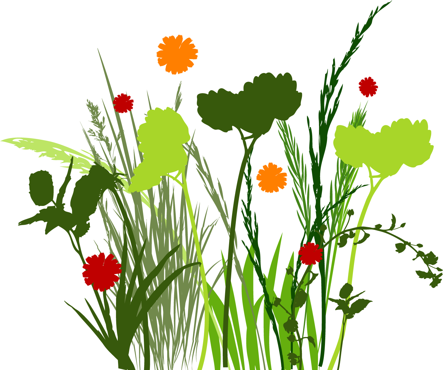 Png Clipart Free - Meadow Graphic (1490x1371), Png Download