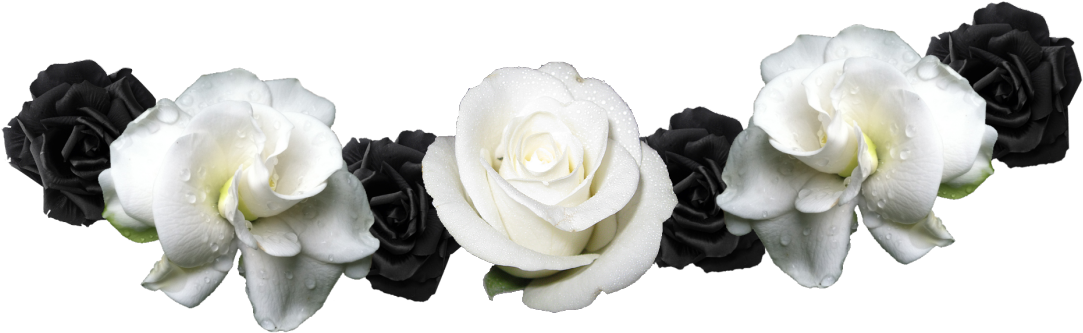 Flower Crown Png Jadziadaxofficial Mpvbrrcwcrcfbng - Black And White Flower Crown Png (1280x524), Png Download