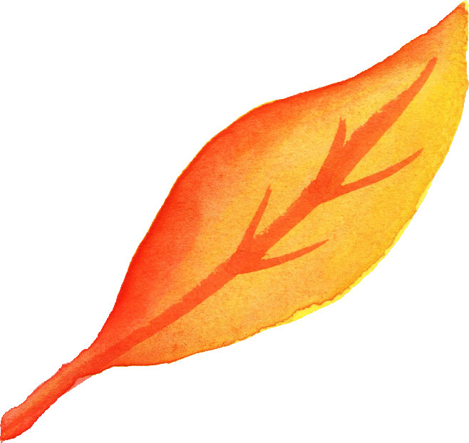 Free Download - Leaf Png Watercolor Fall (658x622), Png Download