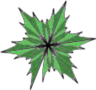 Tree Plan Png Kayu Manis Tree Kapur Tree - Portable Network Graphics (431x399), Png Download