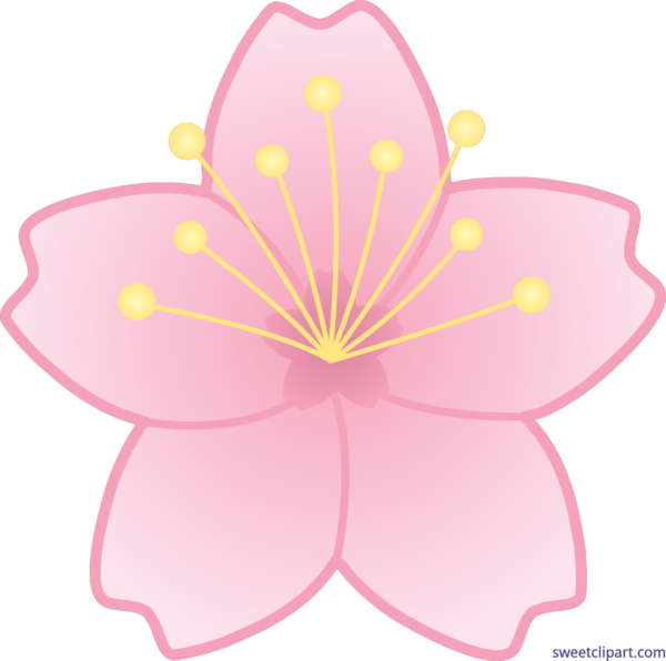 Blossom Clipart Sakura Flower - Cherry Blossom Flower Clipart (550x547), Png Download