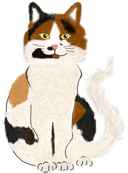 Illustrations Done On Ipad Pro For New Animation Project - Snowshoe (509x652), Png Download