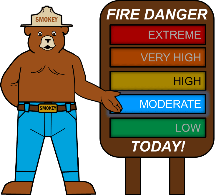 We Are Now Entering Our Fall Fire Season - Smokey The Bear Fire Danger Low (734x664), Png Download