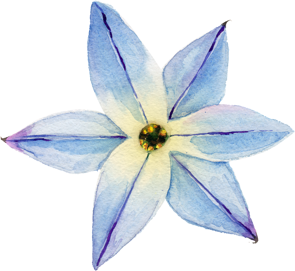 Elegant Transparent Watercolor Flowers Free Download - White Flower Girl Crown First Communion Flower Crown, (1024x942), Png Download